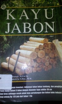 Kayu jabon