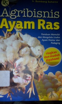 Agribisnis ayam ras