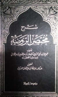 Syarhu mukhtashar al raudhah